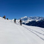 Formation ANENA : comprendre la trace en raquettes (Savoie)