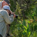 Macrophoto training: wild orchids and butterflies (Vercors)