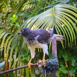 La boucle du sud sauvage de la Réunion en randonnée