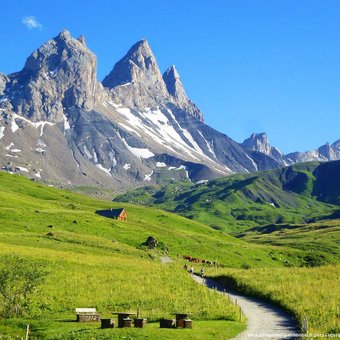 aiguilles-arves.jpg