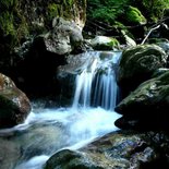 Fasting, conscious and Afghan hike (Glières plateau)