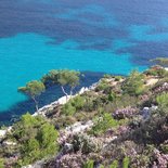 Stage escalade dans les Calanques de Marseille