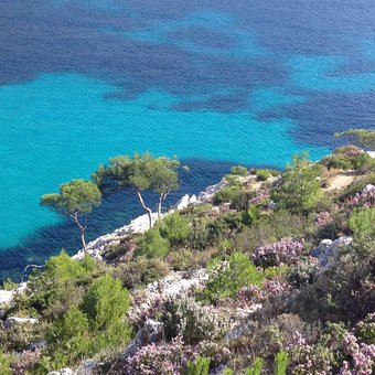 calanques-marseille.jpg