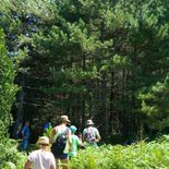 Hiking in the Ospedale (Southern Corsica)