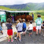 Balade gourmande dans les alpages d'Albiez en Maurienne