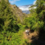 Tour of Cilaos' cirque
