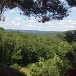 Tree climbing in Puycelsi (Tarn)