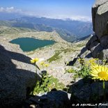 Hiking to Monte Renoso (Southern Corsica)