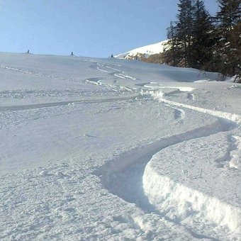 trace-ski-hors-piste-poudreuse.jpg