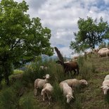 Hiking stay in the South Vercors