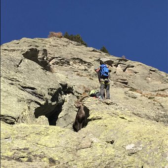 escalade-chamonix.JPG
