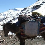 Ski touring on Toubkal (High Atlas)
