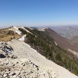 Randonnée sur la montagne de Lure (Nord Lubéron)