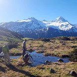 Scientific volunteering with CREA Mont Blanc (Haute-Savoie)
