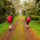 Hiking in the Belouve forest and at "Trou de Fer"