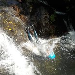 Bramabiau canyon (Cévennes)