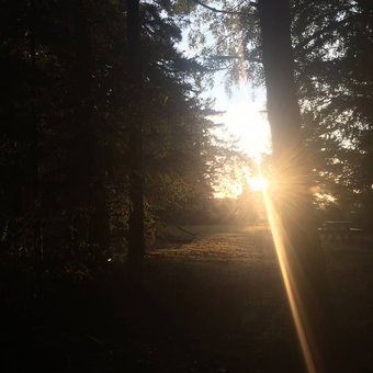 rayon-soleil-foret-aravis.jpg