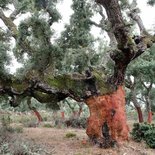 Hiking stay in Sardinia