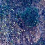 Trekking in the Apolobamba Cordillera