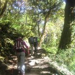 Trekking in the Langtang