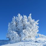 Snowshoeing to study the snow cover (Vercors)