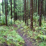 Weekend trail « spécial Grand Raid » à Hell-Bourg