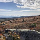 Reconnecting to life on the Stevenson path