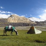 Trekking : la grande traversée du Pamir