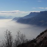 Des pas vers la cohésion d'équipe