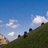Hiking, yoga and reconnecting with nature (Vercors)