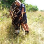 Itinerant family hike with donkeys (Vercors)