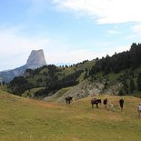 Multi-activity stay for families in the Vercors