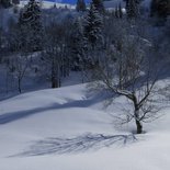 Ski touring and bivouac in tepee (Haute-Savoie)