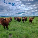 Le tour des Vaches Rouges (Auvergne)