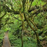 Trail running in the Cirque de Salazie