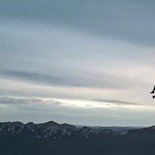 Rando-rappel du Pic Saint-Loup à la pleine lune (Hérault)