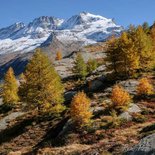 Hiking and autumn photography in the Grand Paradiso