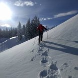 Matinée raquettes dans la forêt des Saisies (Savoie)