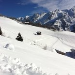 Snowshoeing to meet the winter fauna (Aravis)
