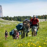 Randonnée itinérante en famille avec ânes (Vercors)