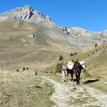 La Routo® : trek avec ânes en Ubaye