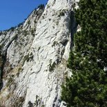 Escalade de grande voie dans le Jura Suisse