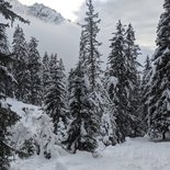 Raquettes sur les hauts plateaux du Vercors (Drôme)