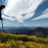 Hiking and bivouac stay on the wolves tracks