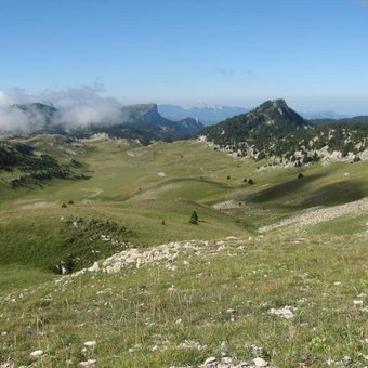 randonnee-plateau-vercors.jpg