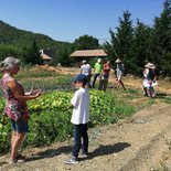 Gourmet hiking trip in the Luberon