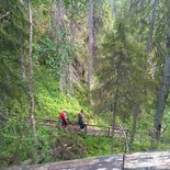 Finnish immersion between lakes and taiga