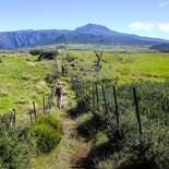 Sporty trail tour on Reunion Island