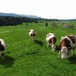Randonnée itinérante dans les Hautes Combes du Jura