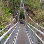 Ascension du Piton d'Anchaing (Salazie-Ile de la Réunion)